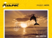 море