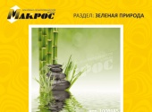 зелень