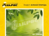 зелень
